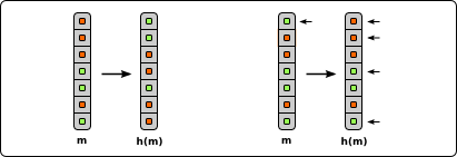 avalanche example